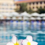 flower on swimming pool